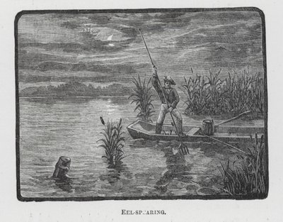 刺鳗（雕刻） 作者 英语学校