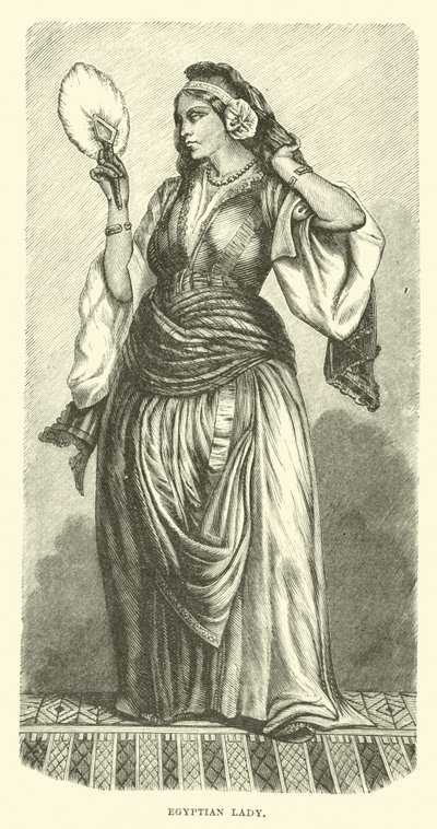 埃及女士 作者 英语学校