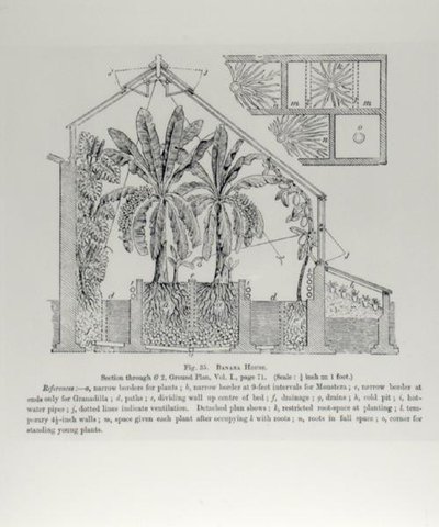 温室的立面，出自约翰-赖特的《水果种植者指南》，约1897-1905年出版（雕刻）（黑白照片）。 作者 英语学校