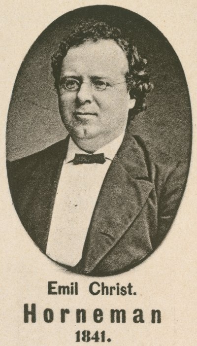 Emil Christian Horneman（凹版印刷） 作者 英语学校