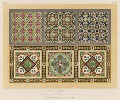 由Minton和Co Stoke在Trent的Encaustic Tiles 作者 英语学校