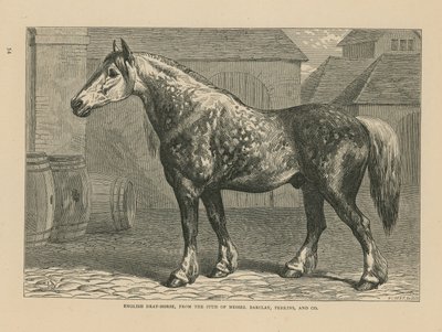 英国dray-horse 作者 英语学校