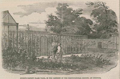 Ewings Patent Glass Wall，位于Chiswick的园艺学会的花园中 作者 英语学校
