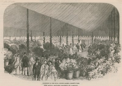 皇家植物学会展览 作者 英语学校