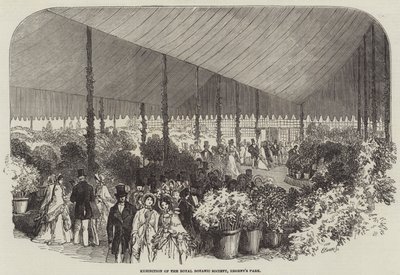 皇家植物学会展览，摄政公园（雕刻）。 作者 英语学校