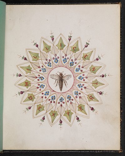 F.1：设计中的昆虫。狄更斯故事场景素描本（纸面水彩画） 作者 英语学校