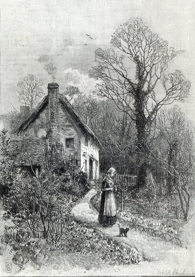 第一朵花，来自1888年的“休闲时光” 作者 英语学校