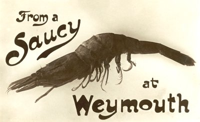 From a saucy prawn at Weymouth, greetings card (litho) 作者 英语学校
