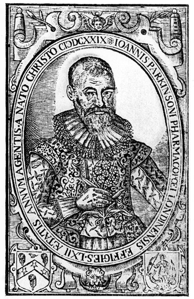 1829年出版的约翰帕金森的Sole Paradisus Terrestris中Paradisi的主题 作者 英语学校