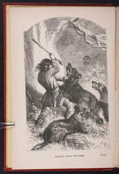 英国猎狼者的卷首插画。 托马斯·米勒的故事等 作者 英语学校