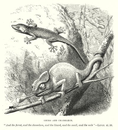 壁虎和变色龙（雕刻） 作者 英语学校