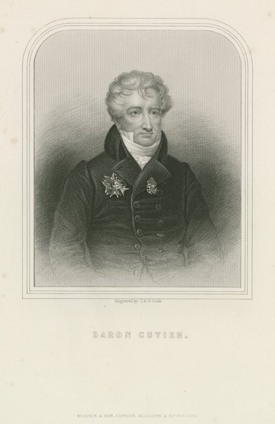 Georges Cuvier，法国自然科学家和动物学家（雕刻）。 作者 英语学校