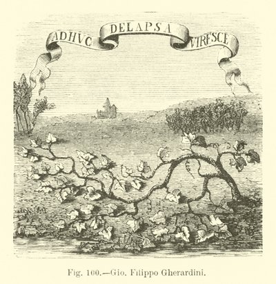 Giovanni Filippo Gherardini 作者 英语学校
