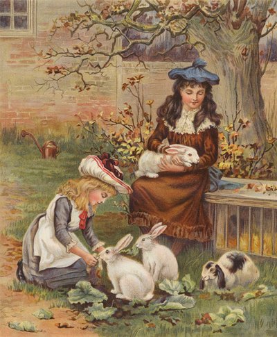 照顾宠物兔的女孩（chromolitho） 作者 英语学校