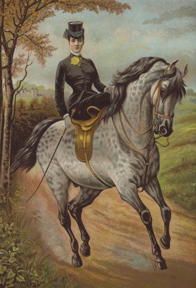 威尔士王妃殿下 (chromolitho) 作者 英语学校