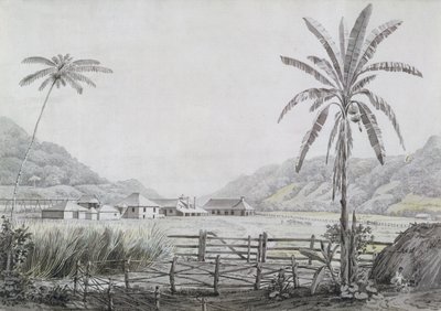牙买加哈尔斯霍尔，1780年（纸上有石墨） 作者 英语学校