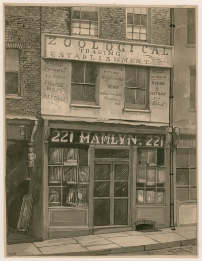 Hamlyns Zoological Trading，221 St Georges Street，London Docks（纸上写着） 作者 英语学校