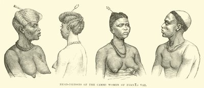 Fernao Vaz的Cammi女性的头饰 作者 英语学校