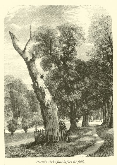Hernes Oak，就在它倒下之前 作者 英语学校