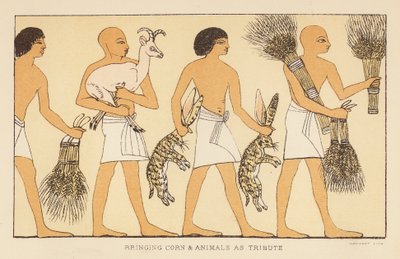 希罗多德：进贡玉米和牲畜（彩色石版画） 作者 英语学校