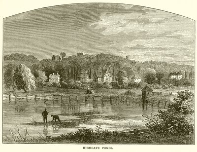 Highgate Ponds 作者 英语学校