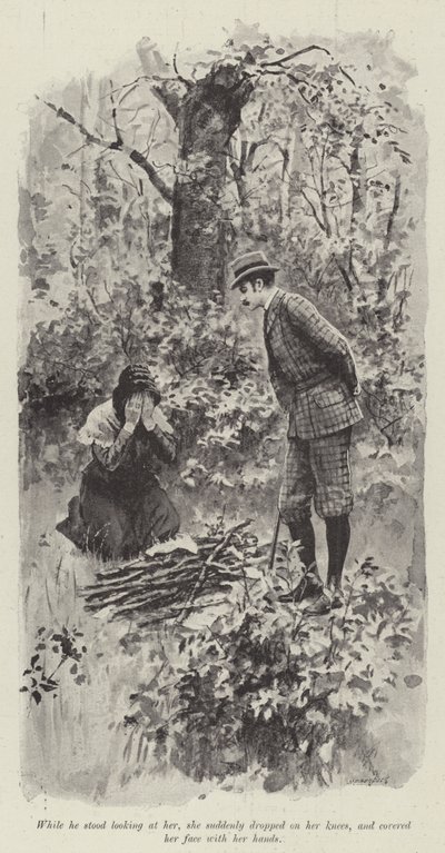 他的好仙女，玛丽·伊丽莎白·布拉登（石版画） 作者 英语学校