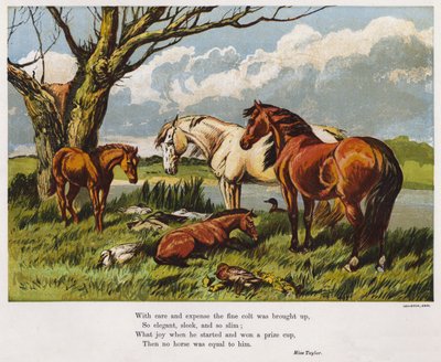 Horses with a young colt on a riverbank (coloured engraving) 作者 英语学校