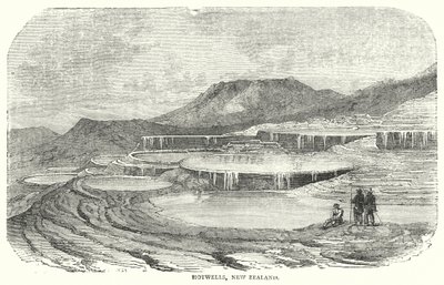 Hotwells, New Zealand (engraving) 作者 英语学校