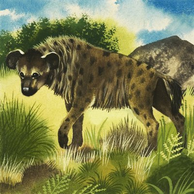 鬣狗 作者 英语学校
