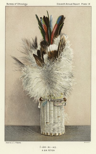 I-Ar-Ri-Ko  - 在Sia Fetich 作者 英语学校