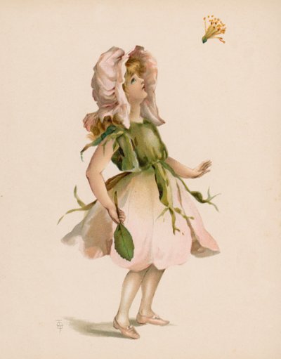 花语插画（chromolitho） 作者 英语学校