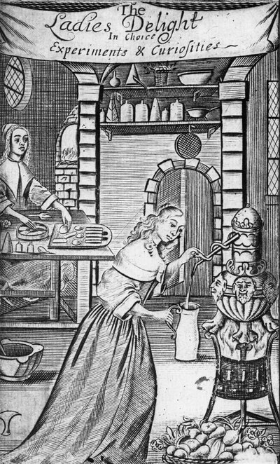 汉娜·伍利（Hannah Woolley）于1672年在“女士喜欢选择实验和好奇心”中的插图 作者 英语学校