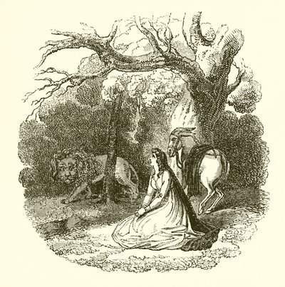 Faery Queene的例证 作者 英语学校
