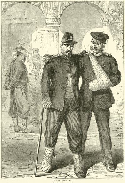 在医院，1870年11月 作者 英语学校