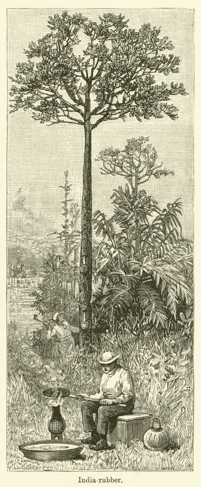 印度橡胶（雕刻） 作者 英语学校