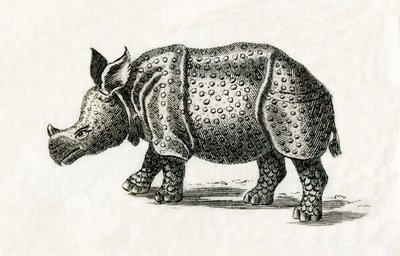 印度犀牛，或大独角犀牛，Rhinoceros unicornis，来自18世纪的印刷品（雕刻）。 作者 英语学校
