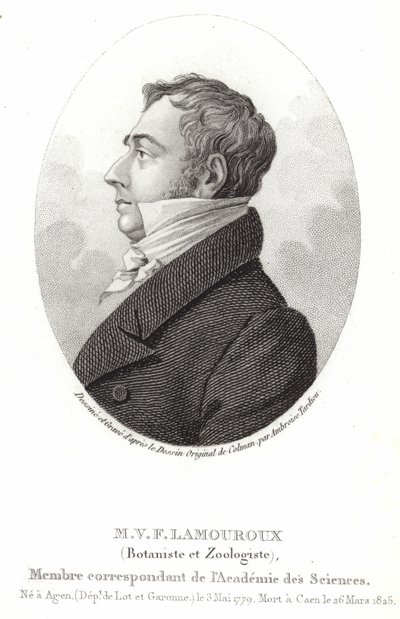 JeanVincentFélixLamouroux 作者 英语学校