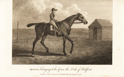 Jockey on the celebrated thoroughbred racer Mufti, belonging to his Grace the Duke of Bedford 作者 英语学校