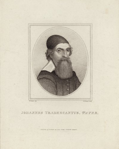 John Tradescantus Pater 作者 英语学校
