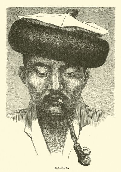 卡尔梅克 作者 英语学校