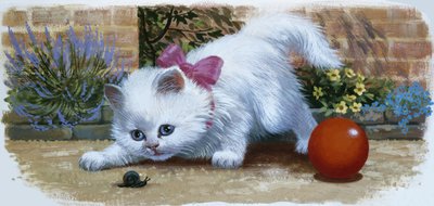 与蜗牛和球的小猫 作者 英语学校