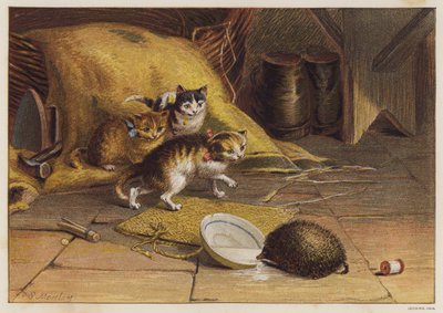 被刺猬迷惑的小猫（彩色石版画） 作者 英语学校