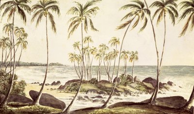 科斯戈达海滩，锡兰，1835年（纸上wc） 作者 英语学校
