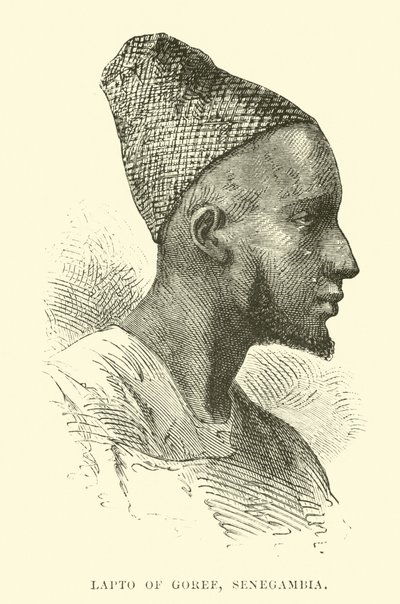 Lareto of Goree，Senegambia 作者 英语学校