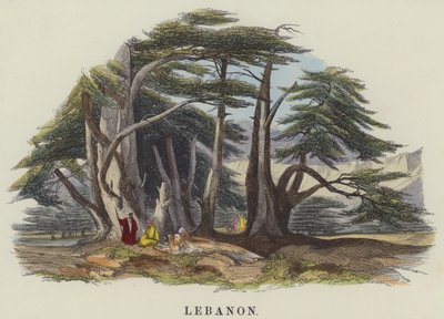 Lebanon (coloured engraving) 作者 英语学校