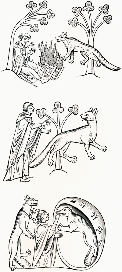 牧师和人民的传说变成了狼，来自JR Green的“英国人的短暂历史”，1893年出版 作者 英语学校