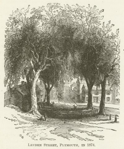 1874年，普利茅斯莱顿街 作者 英语学校