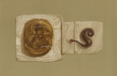 苏格兰女王玛丽的一绺头发，国王查理一世的一绺头发(chromolitho) 作者 英语学校