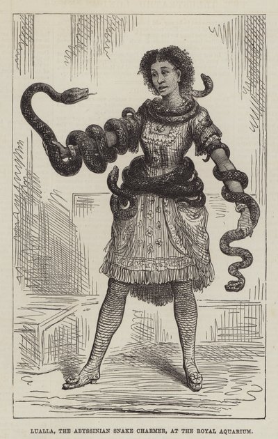 Lualla，阿比西尼亚耍蛇人，在皇家水族馆（雕刻） 作者 英语学校