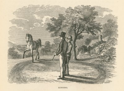 Lunging (雕刻) 作者 英语学校